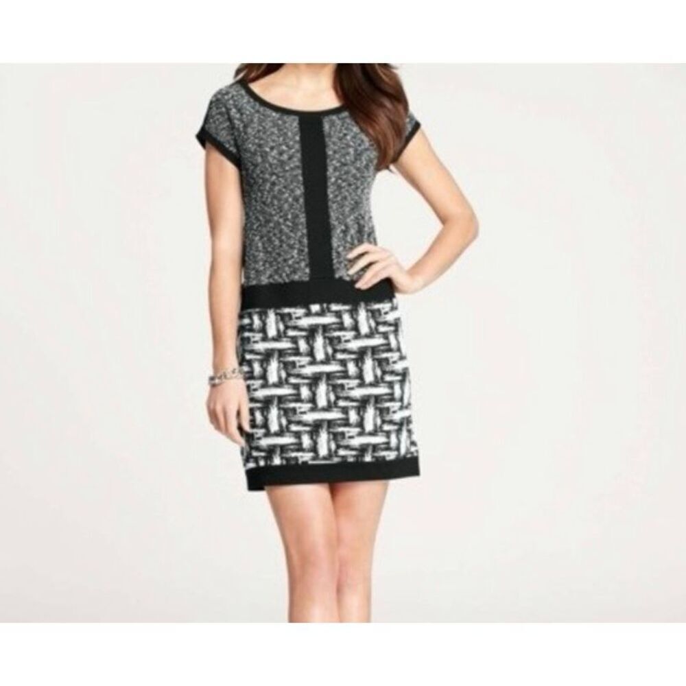 Ann Taylor women’s black and white knit abstract shift dress S/6